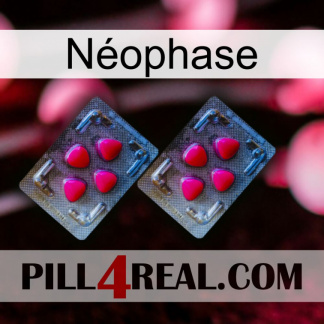 Néophase 14